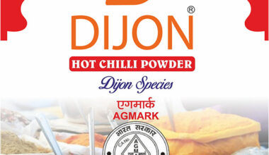 Hot Mirchi Powder