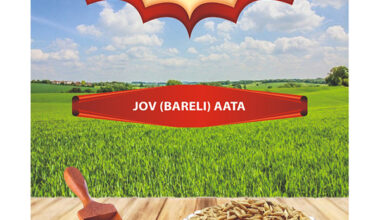 Jov Aata